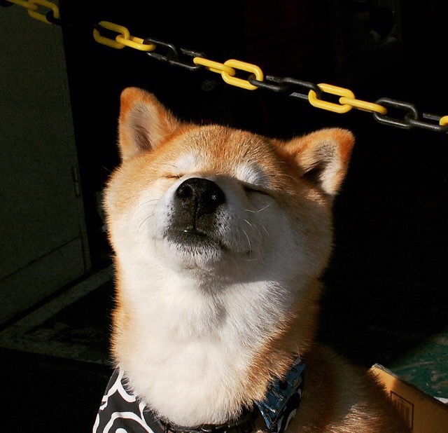 中立B某项目转身效率提升显著