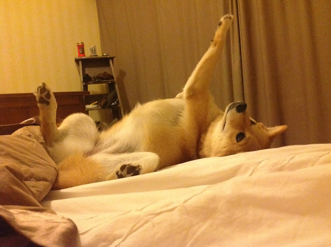 新加坡乒乓未来展望:如何强化体能训练提升比赛胜率,新加坡乒乓球队