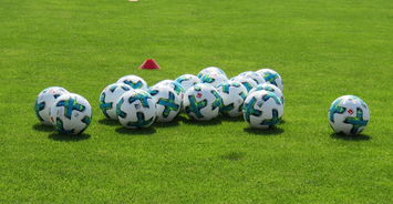 AC米兰-足球技战术课程进入大学体育选修课，大学足球选修课考试内容