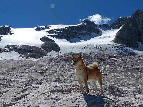 乔治加强三分训练提升外线威胁力,乔治训练集锦